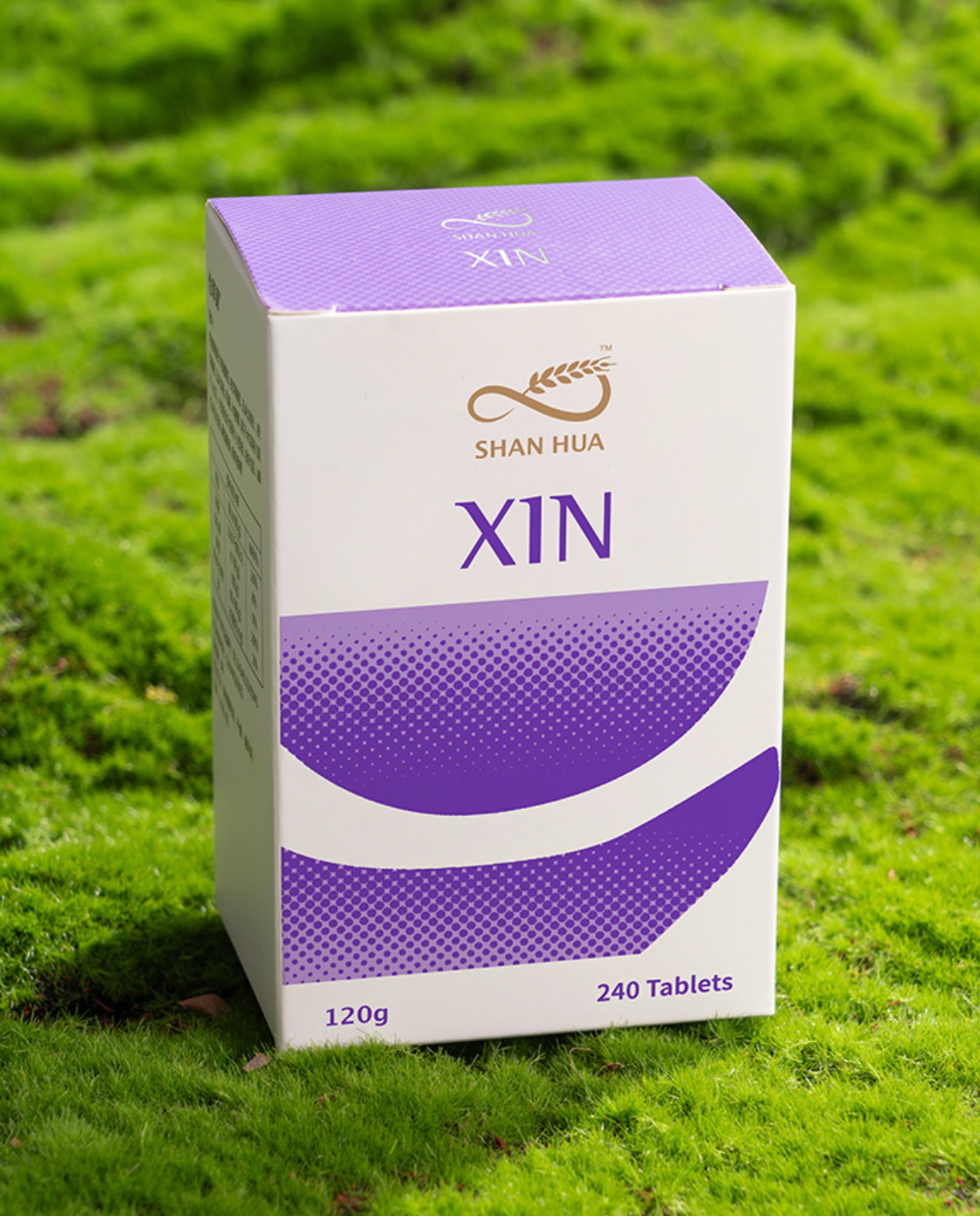 XIN