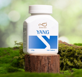 YANG