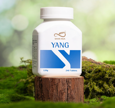 YANG